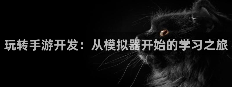 万赢娱乐优惠活动：玩转手游开发：从模拟器开始的学习之旅
