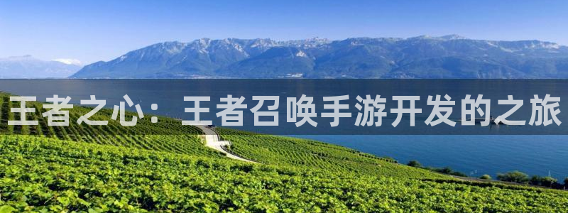 万赢娱乐登录首页：王者之心：王者召唤手游开发的之旅