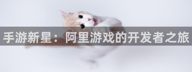 万赢娱乐网址wy：手游新星：阿里游戏的开发者之旅
