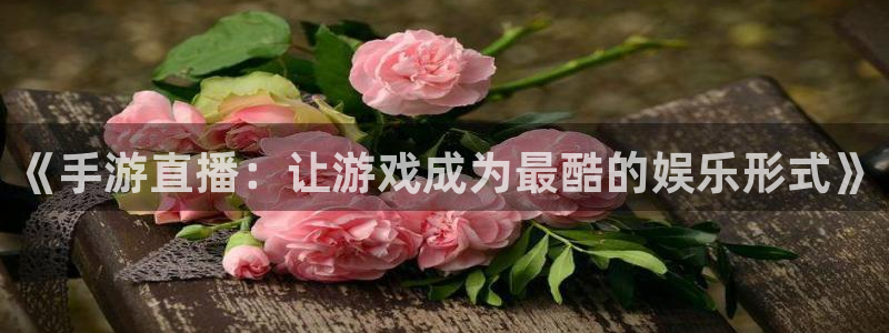 万赢娱乐平台网站：《手游直播：让游戏成为最酷的娱乐形式》
