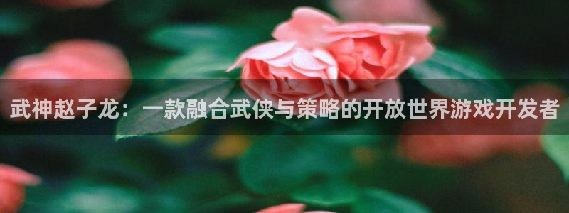 万赢娱乐客服热线24小时：武神赵子龙：一款融合武侠与策略的开