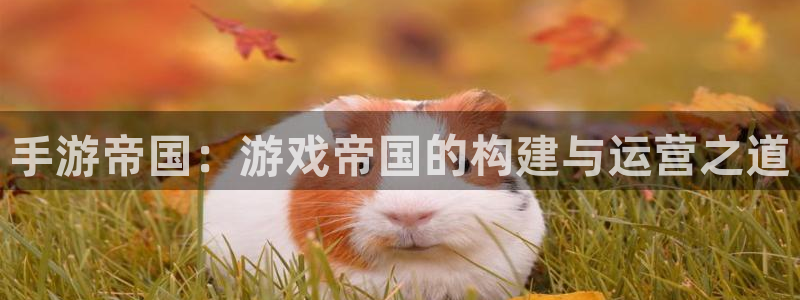 万赢娱乐app平台：手游帝国：游戏帝国的构建与运营之道