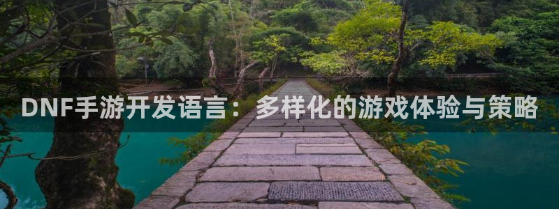 万赢娱乐电子游戏官网游戏特色：DNF手游开发语言：多样化的游