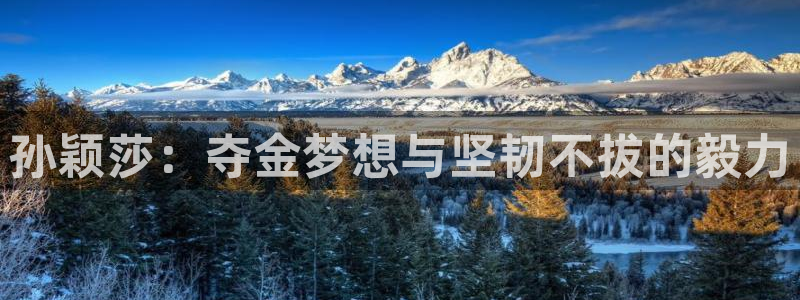 新球网直播：孙颖莎：夺金梦想与坚韧不拔的毅力