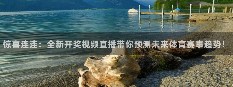 新球直播：惊喜连连：全新开奖视频直播带你预测未来体育赛事趋势！