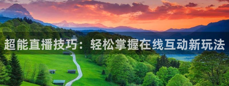 新球赛直播