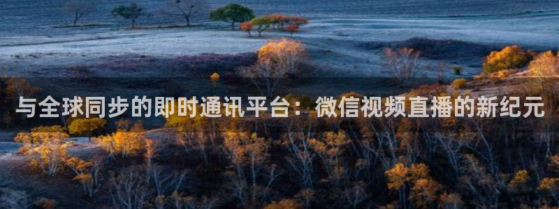 新球体育app