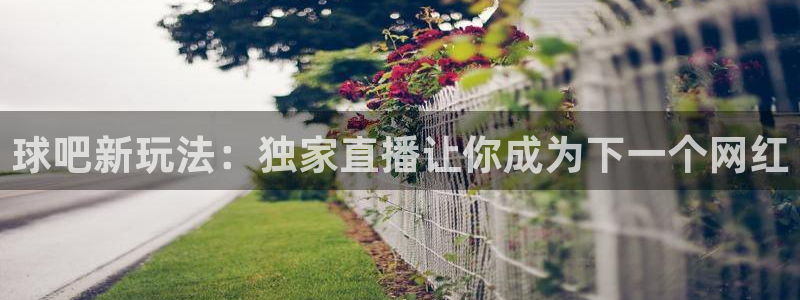 新球体育足球