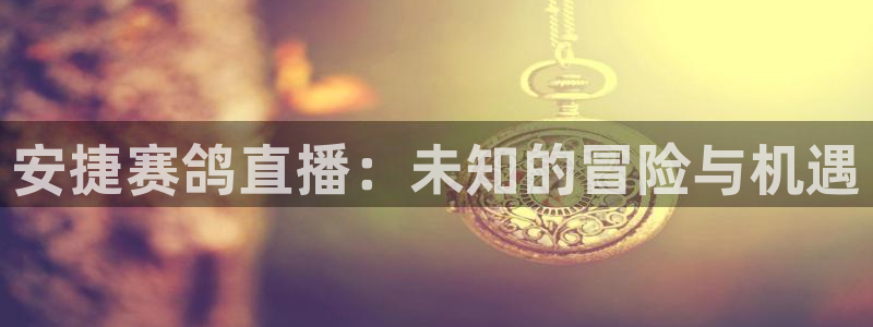 新球体育足球官网：安捷赛鸽直播：未知的冒险与机遇