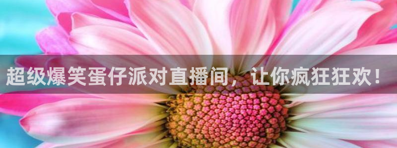 新球体育app：超级爆笑蛋仔派对直播间，让你疯狂狂欢！