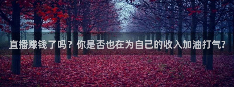 新球体育比分